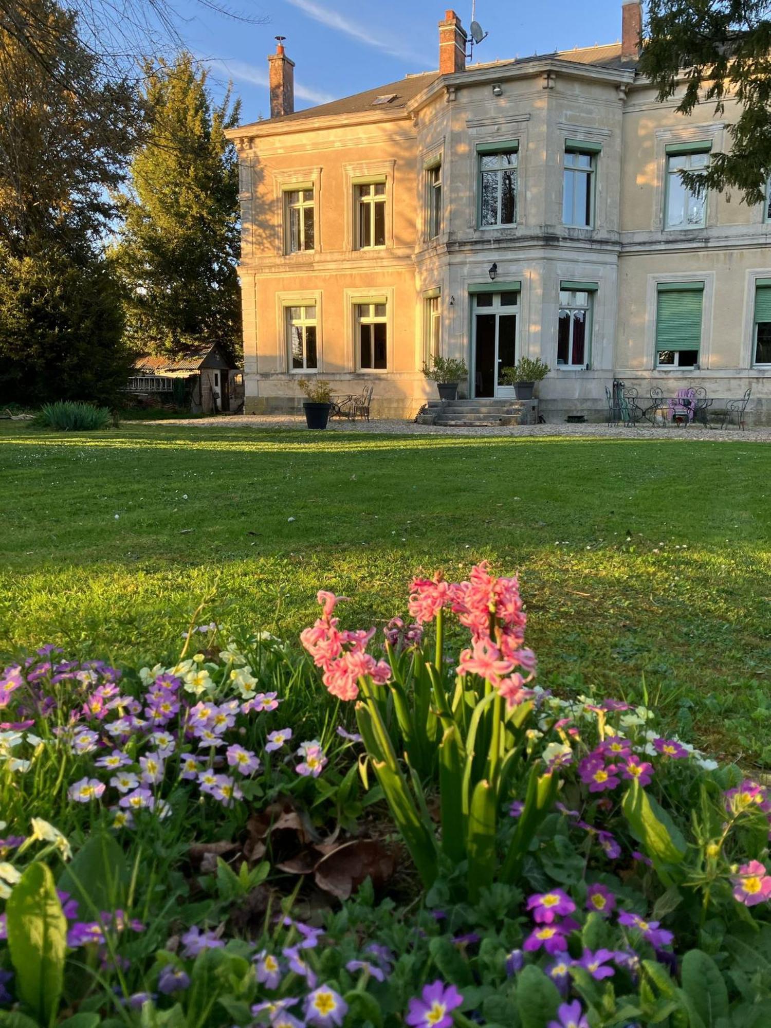 Chateau De Pougy Esterno foto